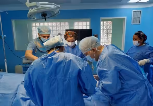 Venezuelan researchers implant stem cells in dead teeth. Photo: IVIC.