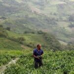 A farmer holds bell peppers during harvest in Cubiro, Venezuela, May 12, 2021. Photo: Reuters.