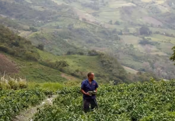 A farmer holds bell peppers during harvest in Cubiro, Venezuela, May 12, 2021. Photo: Reuters.