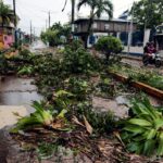 Hurricane Julia tore down trees in the town of Bluefields, on the Caribbean coast of Nicaragua, as it barreled across the country. Photo:Oswaldo Rivas/ Getty Images.