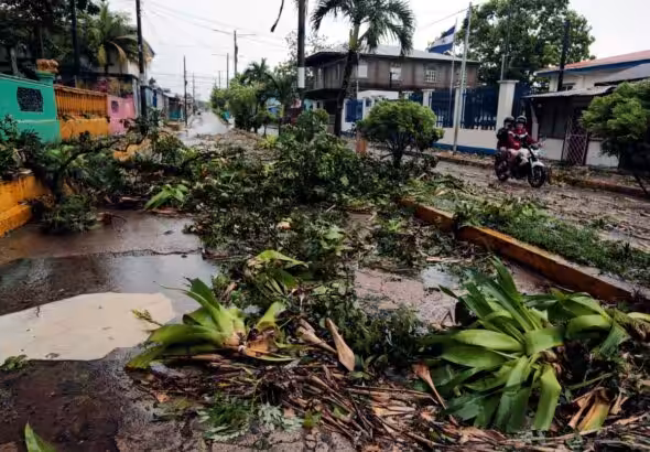 Hurricane Julia tore down trees in the town of Bluefields, on the Caribbean coast of Nicaragua, as it barreled across the country. Photo:Oswaldo Rivas/ Getty Images.