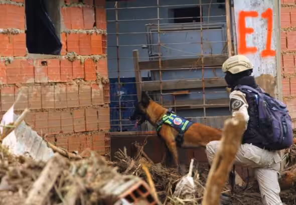 A rescue dog in Las Tejerías. Photo: Twitter/@INAMEH.