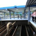 President Maduro speaking outdoors at a water treatment plant at La Guairita, in Miranda state. Photo: Twitter/@CarlosMataCMF.