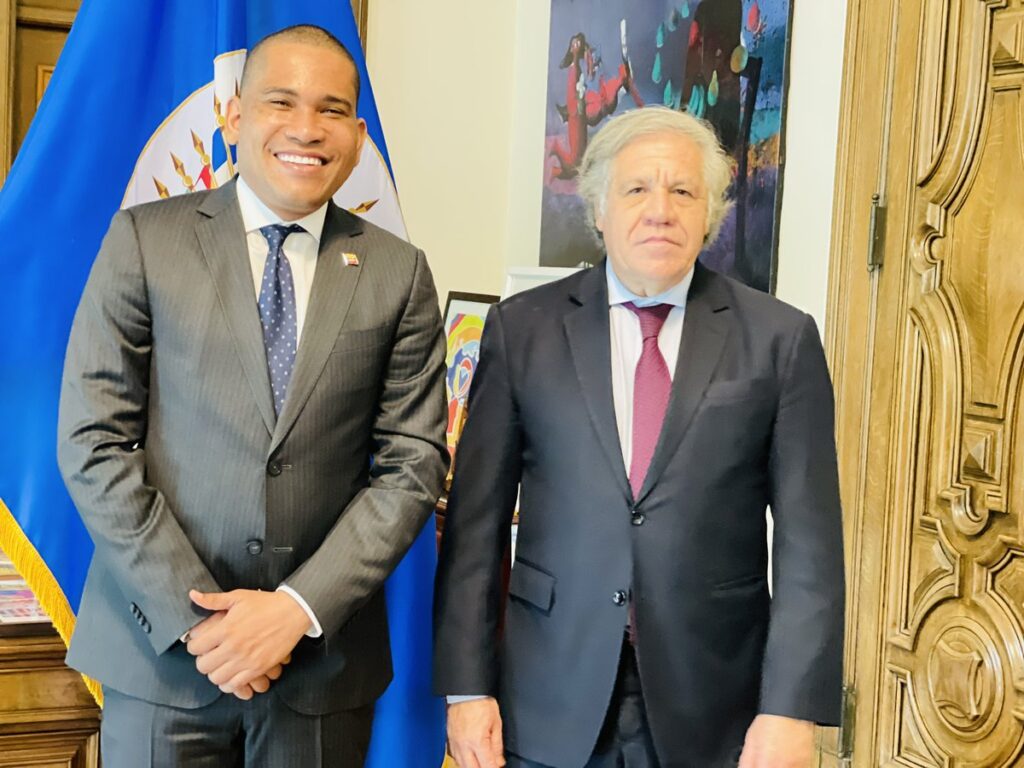Venezuelan opposition's presidential hopeful Leocenis García (left) with OAS Secretary General Luis Almagro (right) in 2019, after Guaidó declared himself "interim president" of Venezuela. File photo.