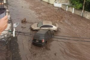 Novela-2022-10-17T153224.663-696x467-1