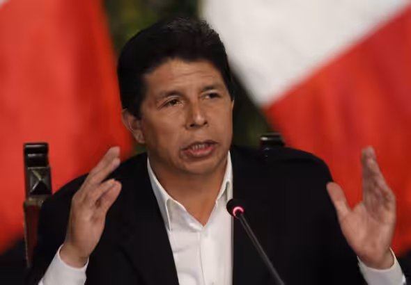 President of Peru, Pedro Castillo. File photo.