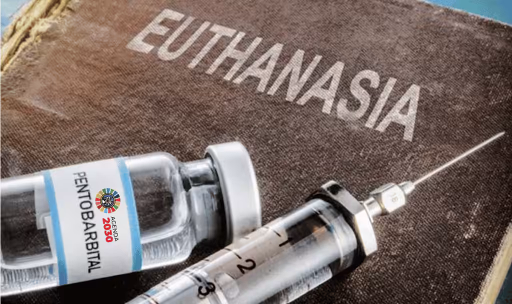 Pentobarbital, an anesthetic drug, is used in euthanasia. File photo.