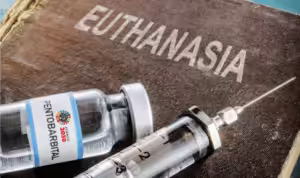 Pentobarbital, an anesthetic drug, is used in euthanasia. File photo.