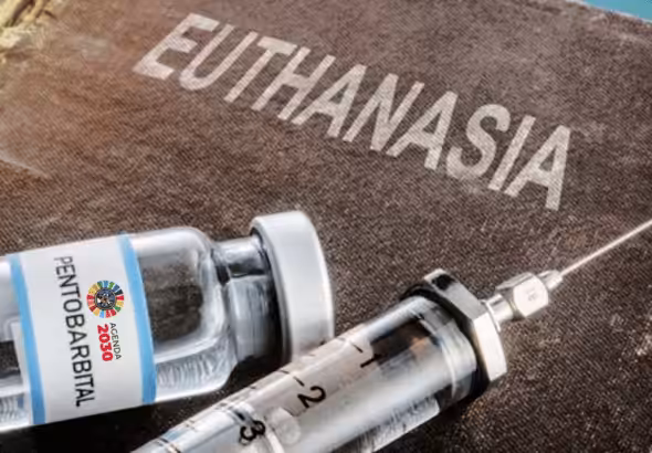 Pentobarbital, an anesthetic drug, is used in euthanasia. File photo.