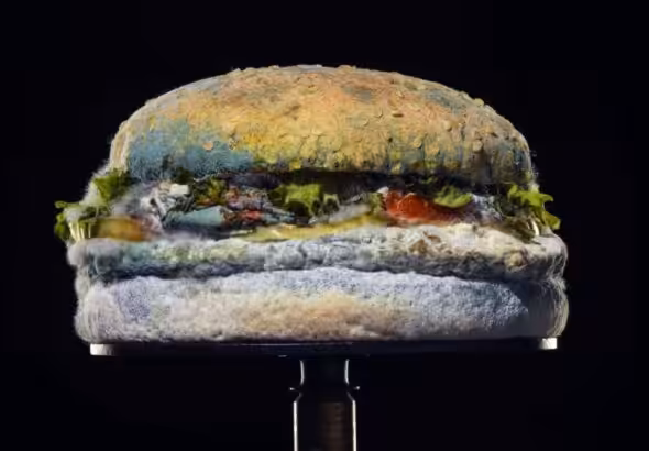 Decomposed hamburger, similar to the one consumed by many prisoners in the US. File Photo.