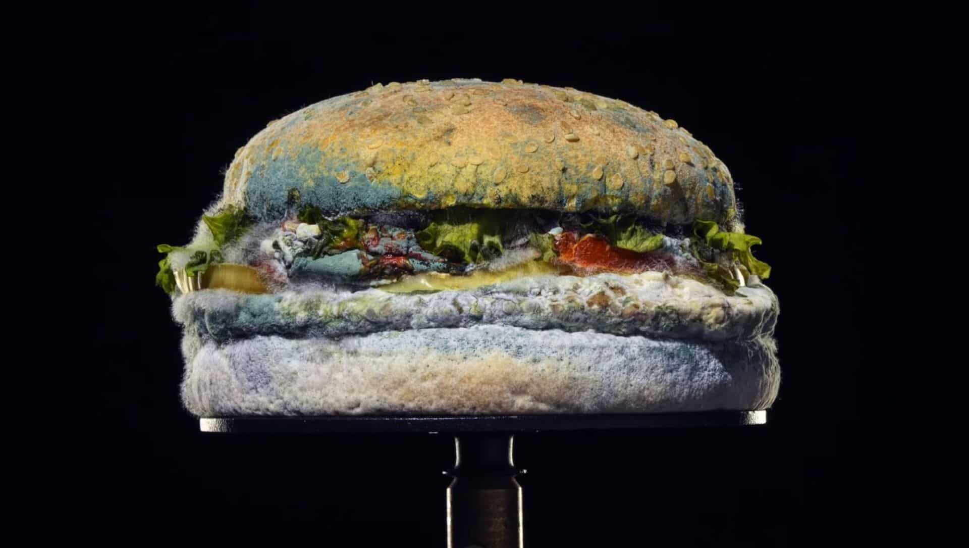 Decomposed hamburger, similar to the one consumed by many prisoners in the US. File Photo.