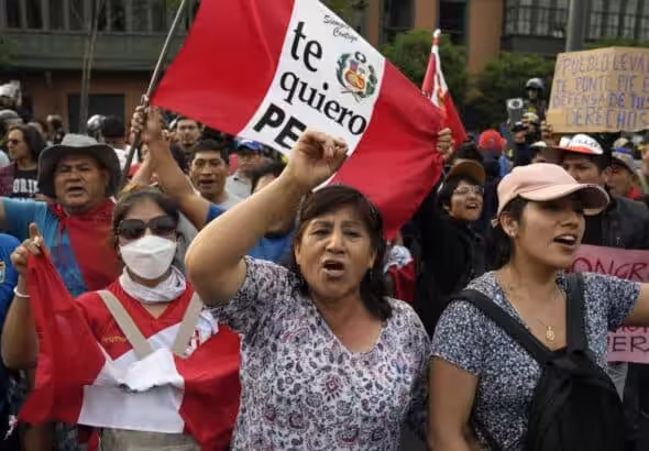 Protesters show their disapproval of the recent coup against Pedro Castillo. Photo: Sputnik.