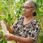 A Nicaraguan woman farmer holds corn cultivated in her land. File photo.