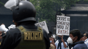 Pedro Castillo supporters protesting near the Peruvian Congress and calling it a rat nest. Photo: AFP.