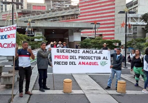 People demonstrating in the street and holding signs that say: "We want to anchor the producer's price to the shelf price." Photo: Twitter/@Lucha_Campesina.