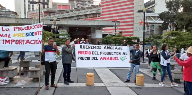People demonstrating in the street and holding signs that say: "We want to anchor the producer's price to the shelf price." Photo: Twitter/@Lucha_Campesina.