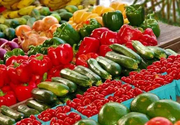 Different kinds of vegetables displayed in boxes. File photo.