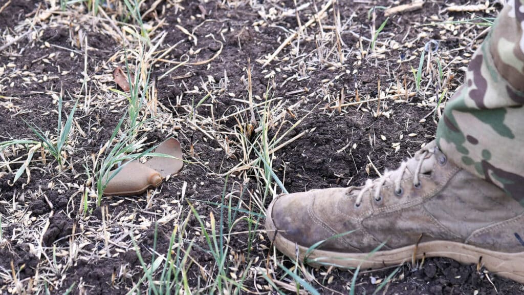 A PFM-1 anti-personnel land mine is seen in a field, near the town of Artyomovsk (known as Bakhmut in Ukraine), Donetsk People's Republic. Photo: Viktor Antonyuk/Sputnik.