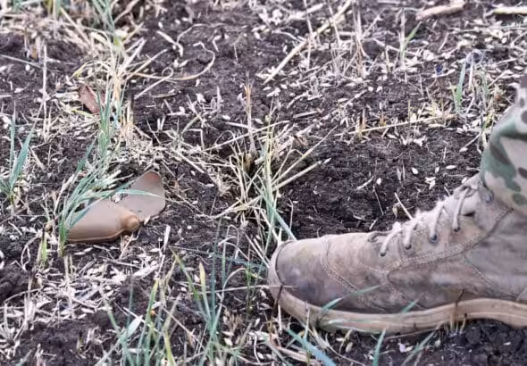 A PFM-1 anti-personnel land mine is seen in a field, near the town of Artyomovsk (known as Bakhmut in Ukraine), Donetsk People's Republic. Photo: Viktor Antonyuk/Sputnik.