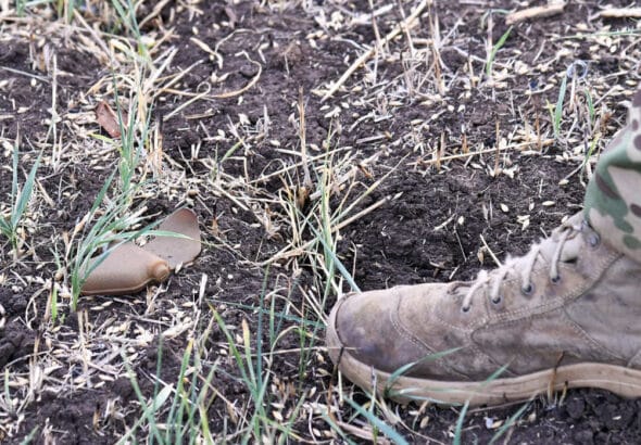 A PFM-1 anti-personnel land mine is seen in a field, near the town of Artyomovsk (known as Bakhmut in Ukraine), Donetsk People's Republic. Photo: Viktor Antonyuk/Sputnik.