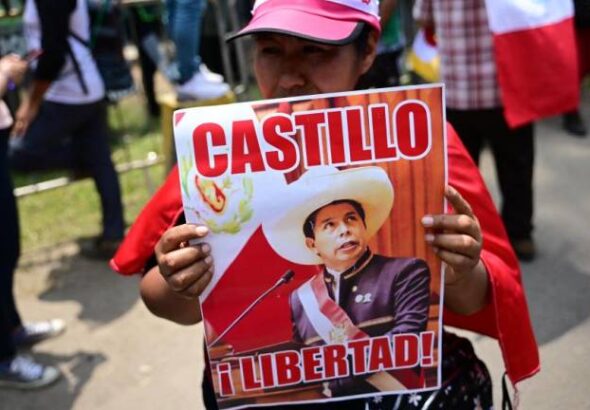 Woman holds a banner with the photo of President Pedro Castillo and the caption “freedom.” Photo: Kawsachun News.