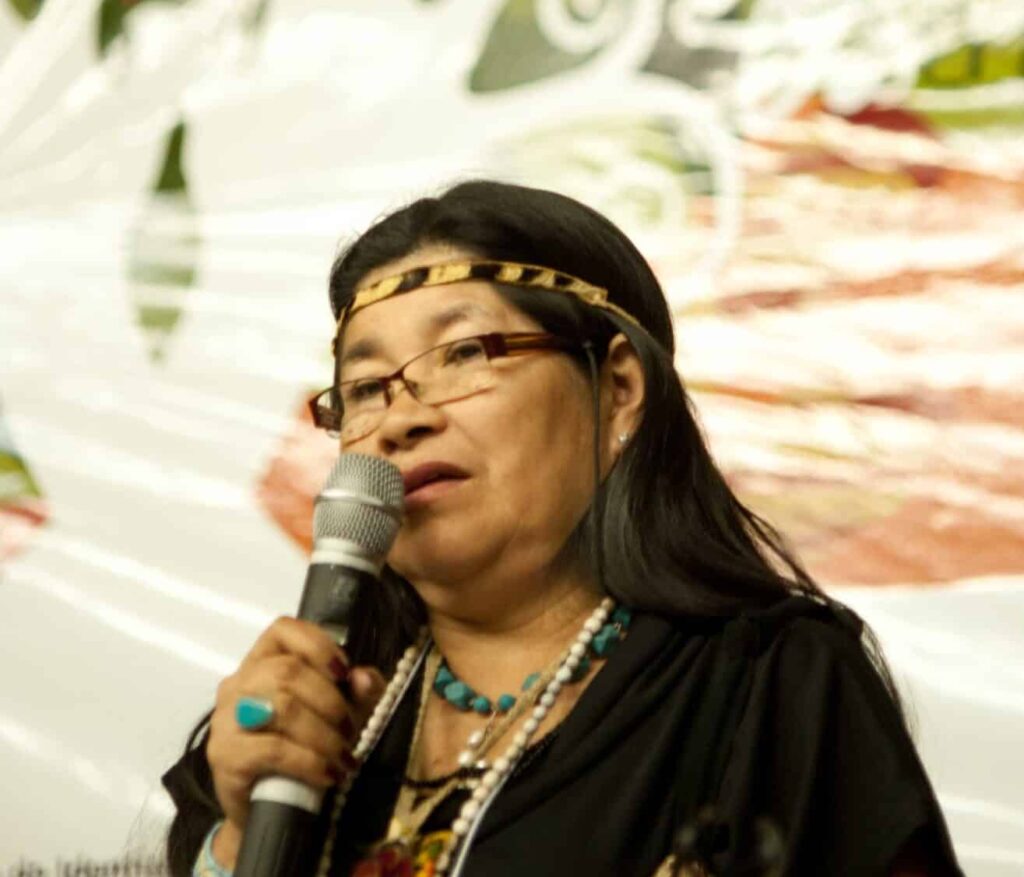 Paraguayan indigenous leader Maria Luisa Duarte. Photo: Wikicommons.