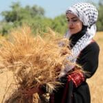 Palestinian young woman with a handful of wheat in her hands at a Nakba commemorative event in Khan Yunis, Gaza. Photo: Mahmoud Ajjour/The Palestine Chronicle.