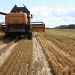 Traditional farming in Ukraine has been made difficult as a result of Russia's invasion. Photo: Vyacheslav Madiyevskyy/Ukrinform/abaca/picture alliance.