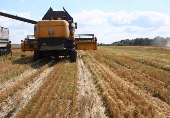 Traditional farming in Ukraine has been made difficult as a result of Russia's invasion. Photo: Vyacheslav Madiyevskyy/Ukrinform/abaca/picture alliance.