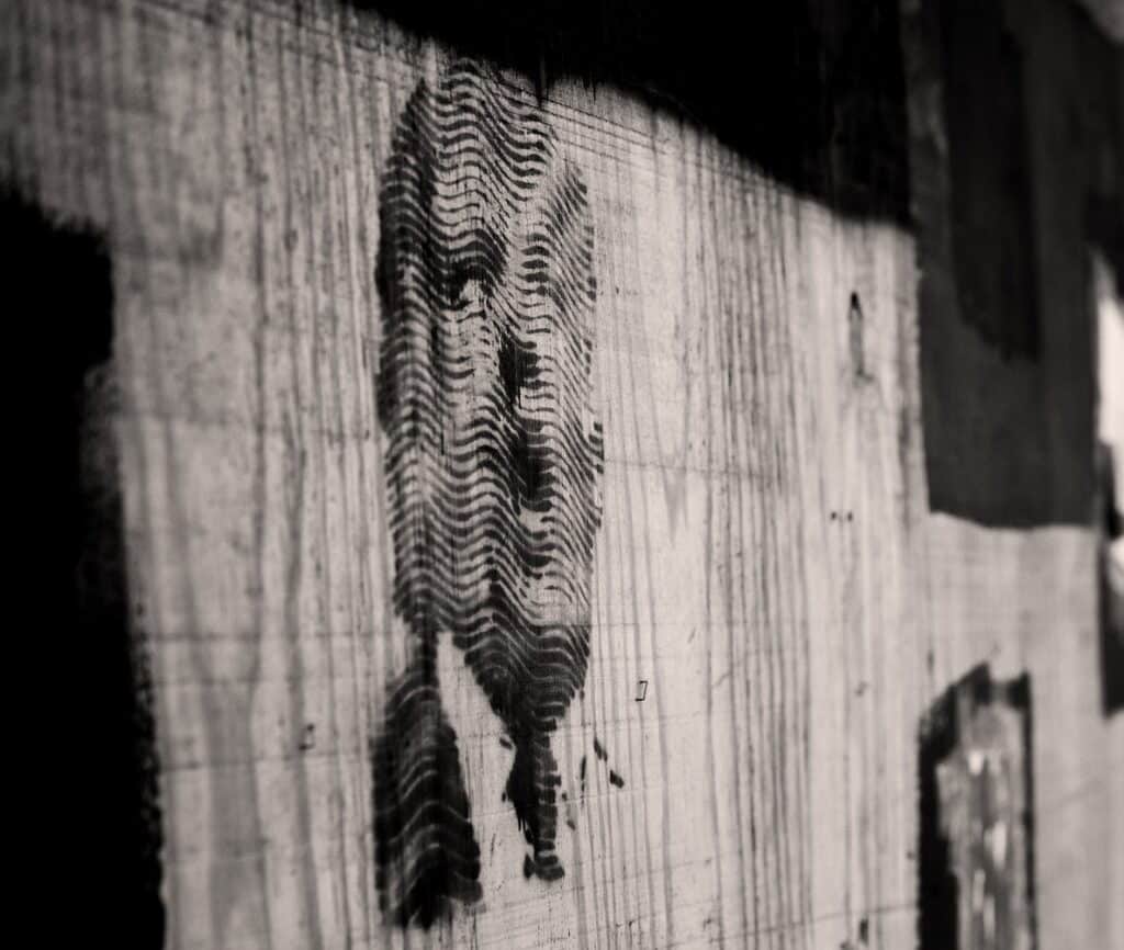 Mural of former US President Donald Trump. Photo: Mike Maguire.