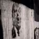 Mural of former US President Donald Trump. Photo: Mike Maguire.