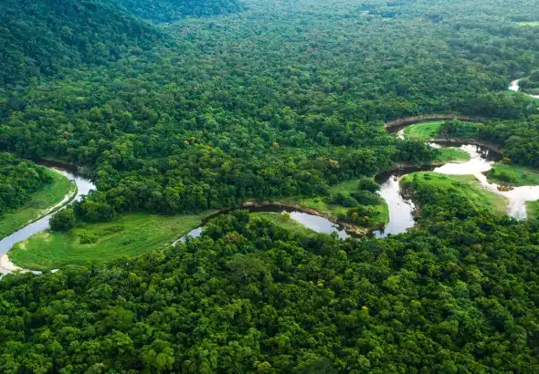 Aerial view of the Amazon rainforest. File photo.