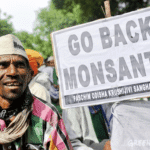 Citizens across 20 states of India came together at Jantar Mantar for a day-long sit-in and marched towards the Parliament demanding immediate withdrawal of BRAI bill in 2013. They targeted Monsanto, the world's leading producer of genetically engineered seeds. Photo: Karan Vaid/Greenpeace.