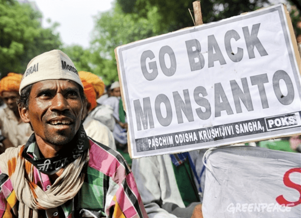Citizens across 20 states of India came together at Jantar Mantar for a day-long sit-in and marched towards the Parliament demanding immediate withdrawal of BRAI bill in 2013. They targeted Monsanto, the world's leading producer of genetically engineered seeds. Photo: Karan Vaid/Greenpeace.
