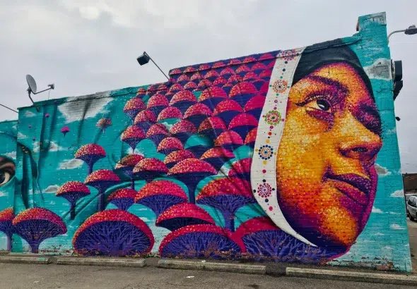 Mural with the face of an Arab woman next to trees and clouds floating in the sky at Hamtramck, Michigan. Photo: BBC/File photo.