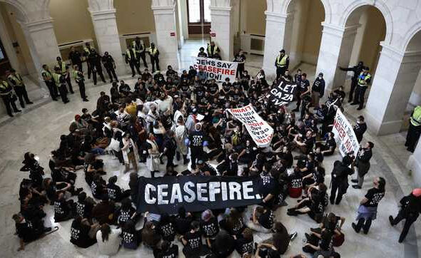 Demonstrators demand a ceasefire in Gaza, during a protest in the US Congress building. Photo: Chip Somodevilla/Getty Images