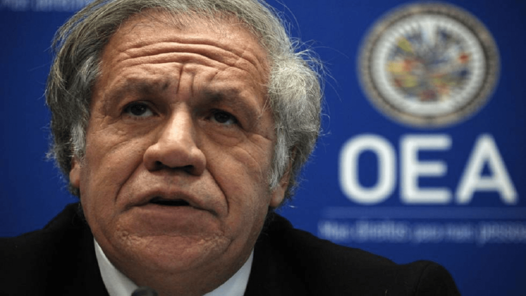 Secretary general of the Organization of American States, Luis Almagro. File photo/El País.