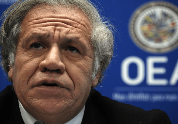 Secretary general of the Organization of American States, Luis Almagro. File photo/El País.
