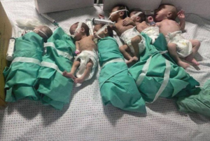 Newborn babies in al-Shifa hospital are taken out of the incubators due to a lack of oxygen, then swaddled and laid down seven or eight to a bed in a desperate effort to keep them warm and alive. Photo: Reuters.