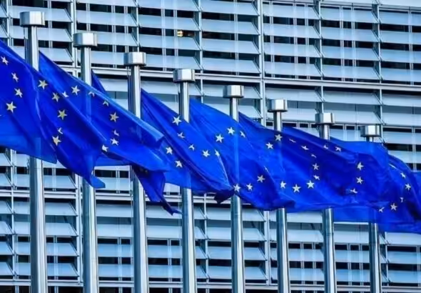 European Union flags flying in front of a building. Photo: file photo.