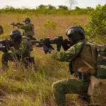 Brazilian Marines training in a field. Photo: Antônio Oliveira/Brazil Ministry of Defense.