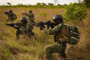 Brazilian Marines training in a field. Photo: Antônio Oliveira/Brazil Ministry of Defense.