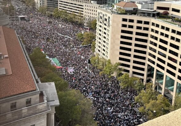 500,000 people gathered in Washington, D.C. on Nov. 4 for a historic march that recognized the Palestinian right to resist. Photo: Liberation.