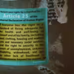 The picture show Article 25 of the Universal Declaration of Human Rights. Photo: Jon Tyson.