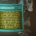 The picture show Article 25 of the Universal Declaration of Human Rights. Photo: Jon Tyson.