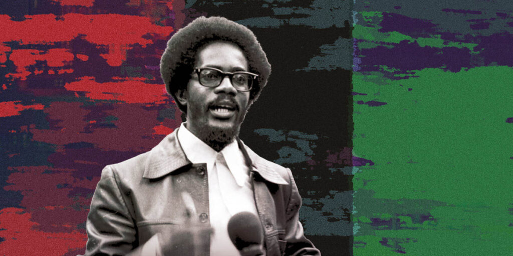 Walter Rodney on a red, black, and green background: Photo: Review of African Political Economy.