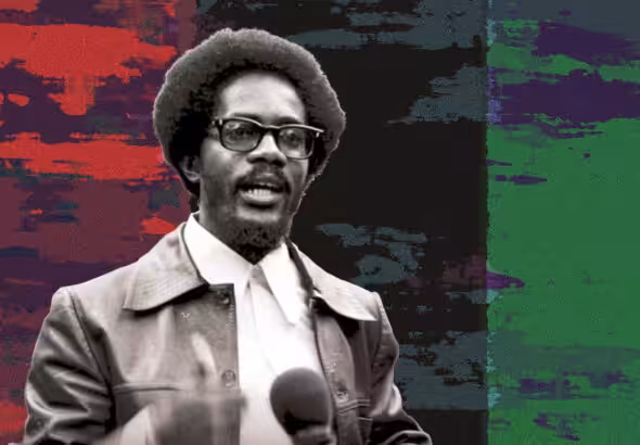 Walter Rodney on a red, black, and green background: Photo: Review of African Political Economy.