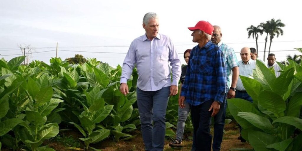 Cuban President Miguel Díaz-Canel Bermúdez visits the province of Pinar del Río. Photo: ACN/File photo.