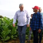 Cuban President Miguel Díaz-Canel Bermúdez visits the province of Pinar del Río. Photo: ACN/File photo.