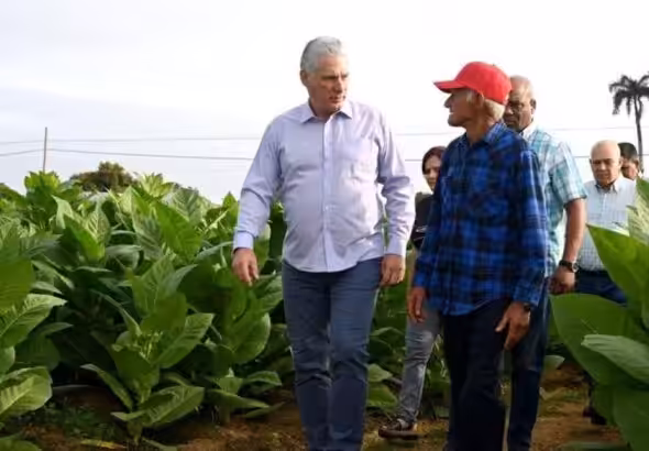 Cuban President Miguel Díaz-Canel Bermúdez visits the province of Pinar del Río. Photo: ACN/File photo.